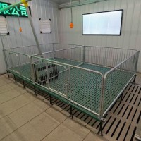 塑料漏粪板仔猪床保育床