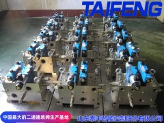山东泰丰二通插装阀WC67Y-500TFCV，折弯机阀块