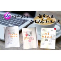 公司损益表阿根廷领事馆认证