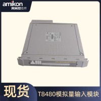 TC-301-02-4M5 DCS模块  ICS