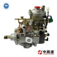 油泵总成VE6/10F1900RND267