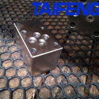 TAIFENG泰丰压力盖板TLFA160DBWAT-7X