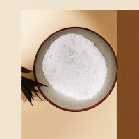 伽马相亲水性20纳米氧化铝
