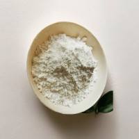 电解质材料添加伽马相纳米氧化铝