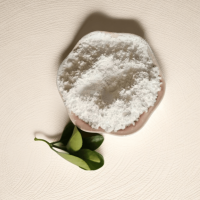 伽马相亲水纳米氧化铝