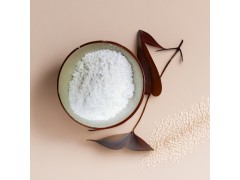 特种橡胶抗菌防霉制品添加3N级纳米氧化锌