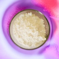 伽马相纳米三氧化二铝用于荧光粉粘结剂