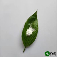 九朋透明填充剂30nm高纯氧化镁CY-Mg30杭州