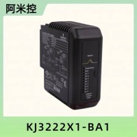 1X00691H01艾默生数字输出模块