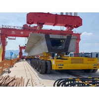 河南信阳架桥机厂家30mT梁架桥机的高度参数