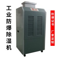 工业用防爆除湿机 干燥机 除湿器 干燥器厂家定制