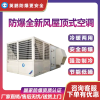 YPHB-180EX防爆全新风屋顶式空调机