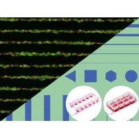 µ-Slides With Test µ-Patterns