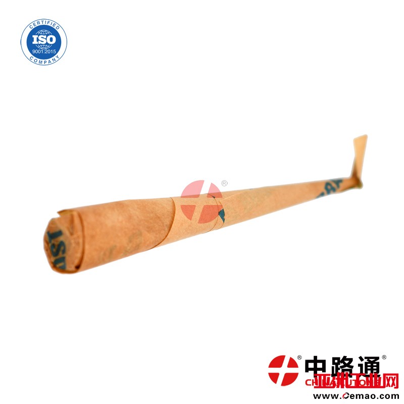common-rail-control-valve (3)