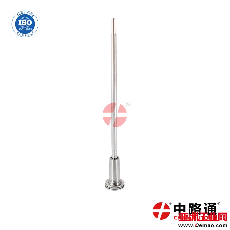 F00RJ01176-injector-valve-set (3)