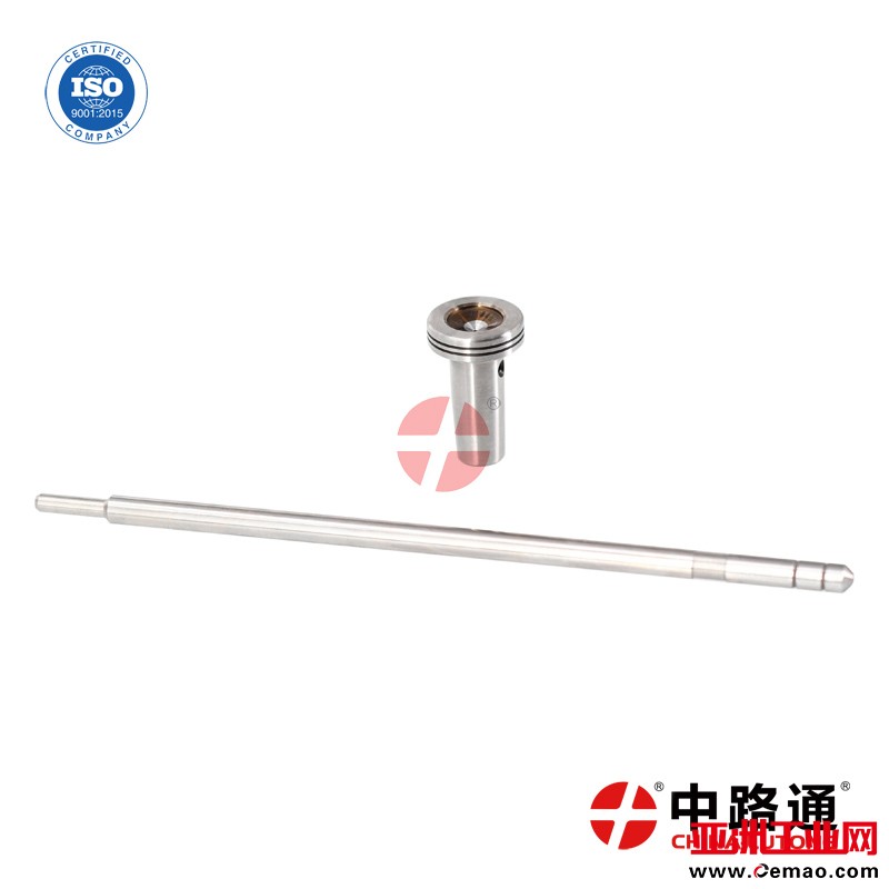 F00RJ01176-injector-valve-set (15)