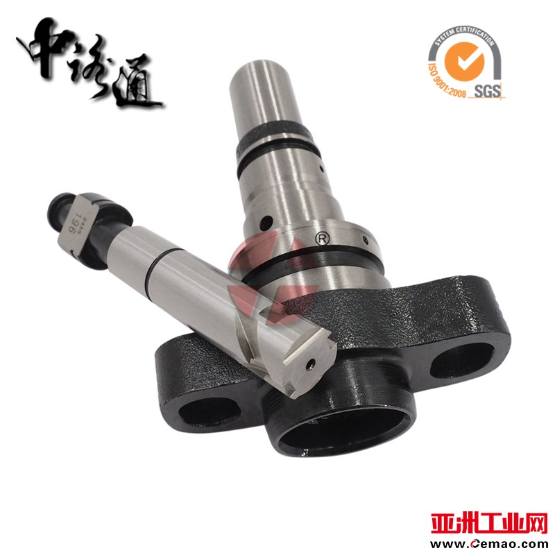 2-418-455-165-pump-plunger-assembly (1)