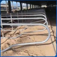 牛场双列热镀锌牛卧栏 养牛设备