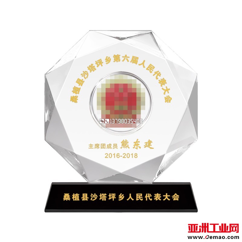 单面八角拍-人大代表大会纪念1_副本