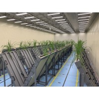 野外大田植物表型平台