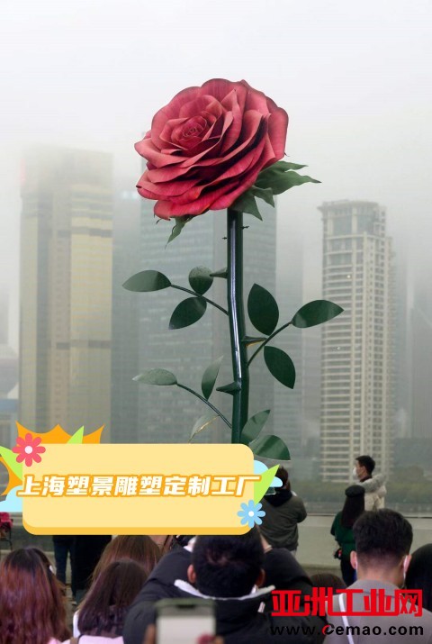 1 玫瑰 (2) 公
