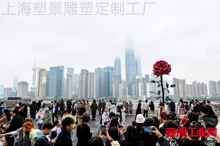 1 玫瑰 (1) 公