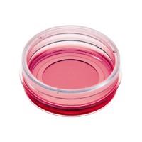 德国ibidi 玻璃底35mm共聚焦培养皿81218-800