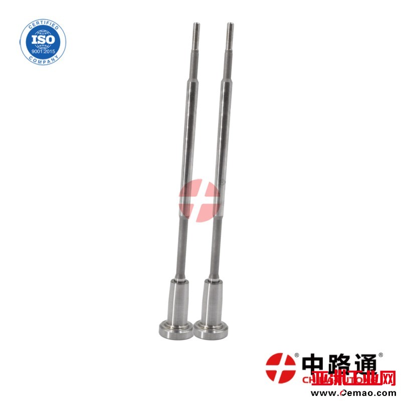 F00VC01051-Common-rail-injector-valve (2-2)