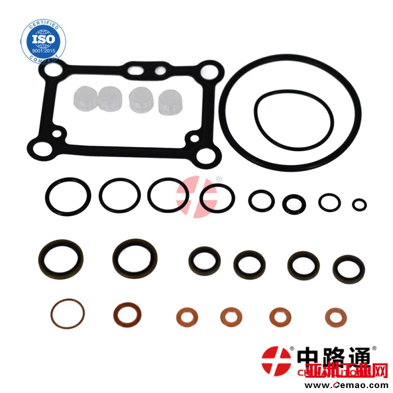 Yanmar-X7-diesel-pump-rebuild-kit (18)