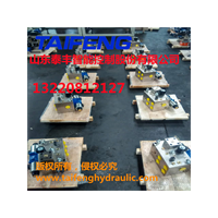 泰丰供应南通YN32-1250XCV标准1250吨插装阀系统