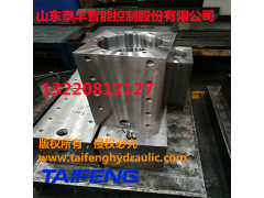 厂家直销泰丰液压WC67Y-200DL-00折弯机油缸