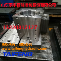 厂家直销泰丰液压WC67Y-200DL-00折弯机油缸