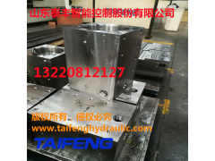 山东泰丰供应300数控折弯机油缸WST系列
