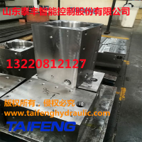 山东泰丰供应300数控折弯机油缸WST系列