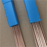 焊10crmoAl钢专用氩弧焊丝 H03氩弧焊丝 2.5