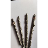 矿山开采专用YD合金气焊条 硬度高耐磨