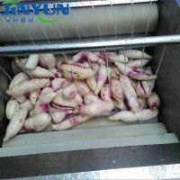 红薯去泥去皮清洗设备 山去皮清洗设备厂家供应
