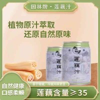 园林牌莲藕汁清甜饮料植物原汁萃取还原自然