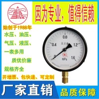 无锡特种压力表 Y系列一般压力表 源头工厂直销