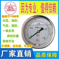 无锡特种压力表 YN系列耐震（抗震）压力表 源头工厂