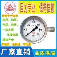 无锡特种压力表 YB系列不锈钢压力表 源头工厂直销