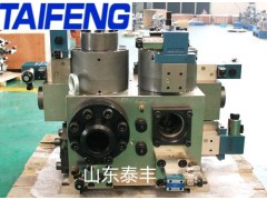 山东泰丰智能YN32-315HGCV二通插装阀