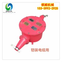 BHG1-630/3.3高压电缆接线盒两通橡套电缆用