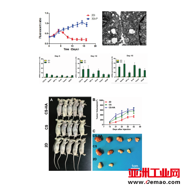 莱普E系列经济版生物3D打印机上市，博见三维推动医工科研创新