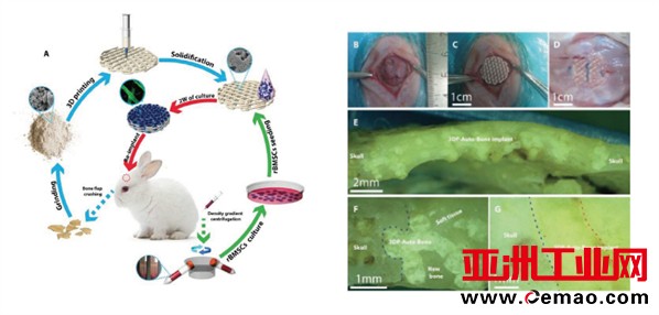 莱普E系列经济版生物3D打印机上市，博见三维推动医工科研创新