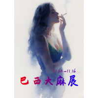 2025 年巴西圣保罗展