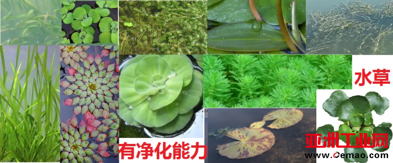 图片 2