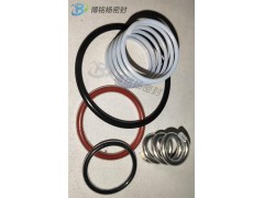 增强耐腐蚀PTFE喷涂PFA包弹簧PFA/FEP包覆O型圈