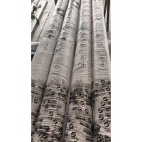 904L不锈钢无缝毛细管