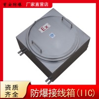 防爆接线箱在户外地面的要求